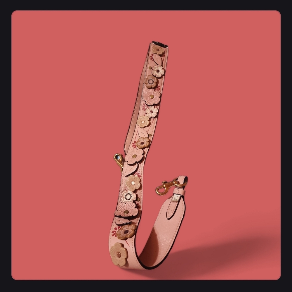 Coach bag strap